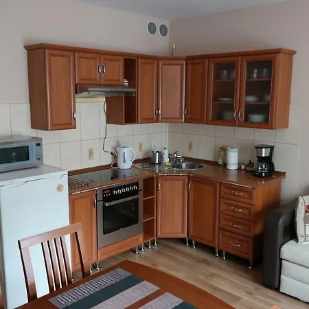 Wygodny, 2-pokojowy Apartament Blisko Centrum Daire Wroclaw